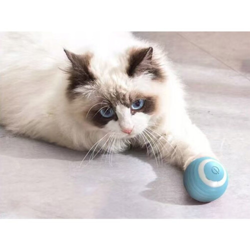 USB Electric Interactive Ball for Cats and Dogs 2