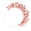 1St Gouden Bruiloft Tiara Haarhoop Fijn Accessoire 1