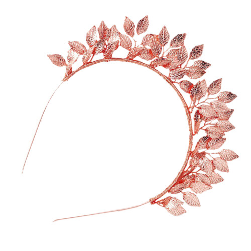 1St Gouden Bruiloft Tiara Haarhoop Fijn Accessoire
