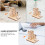 1Set Uitvinding Handgenerator Leerzaam DIY Model 5