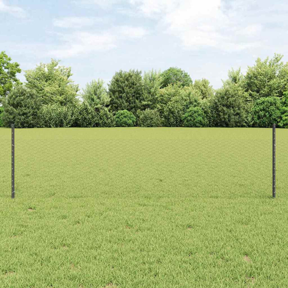 Vidaxl Welded Wire Fence 100 X 0.5 M (W X H) Pvc-Coated Steel Grey