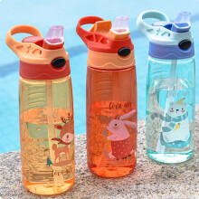 (Matches the image) Kids Water Bottle 500ml with Straw BPA Free Children Drinking Healthy School Cup