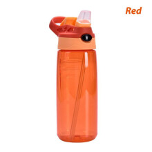 (Matches the image) Kids Water Bottle 500ml with Straw BPA Free Children Drinking Healthy School Cup