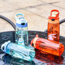 (Matches the image) Kids Water Bottle 500ml with Straw BPA Free Children Drinking Healthy School Cup