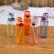 (Matches the image) Kids Water Bottle 500ml with Straw BPA Free Children Drinking Healthy School Cup