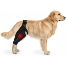 Tutore di supporto per il legamento crociato del cane - Fascia stabilizzante per ginocchio per animali domestici attivi (tagl