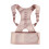 Perfect Posture Pro - Back Brace - Size XL 1