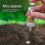 Transparent Push-Button Seeder, 4 L, Hand-Held, Garden Planting Tool 1