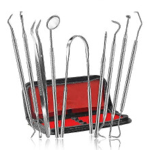 Toothpick oral care kit, stainless steel dental hygiene kit