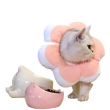 Cat Cone Collar,Cute Waterproof Collar for Cats,Anti-Bite Lick Wound Healing Safety Cat Recovery Collar,All-Season Style