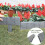 20St Plastic Tuinafscheiding Grijs PP Koppelbaar Border 3