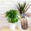 1Garden Kettle , Strapazierfähiges Gartenbewässerungsgerät 8