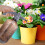 1Garden Kettle , Strapazierfähiges Gartenbewässerungsgerät 9