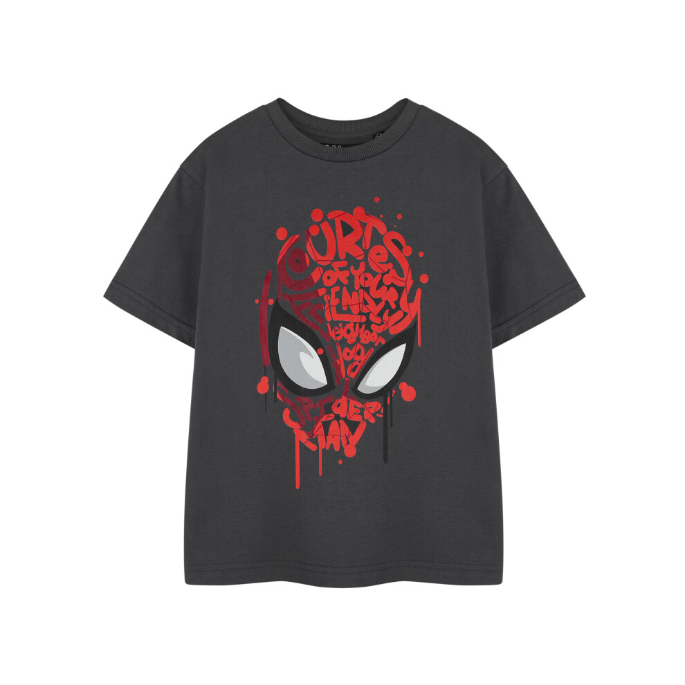 Marvel (2-3 Years) Spiderman Short Sleeved T-Shirt (Boys Grey)
