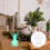 5Stk Luminose Lampe Transparent Xmas Festdeko 1