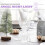 5Stk Luminose Lampe Transparent Xmas Festdeko 4
