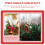 4Stk Simulierte Beerenzweige Aus Für DIY Weihnachtskranz 6