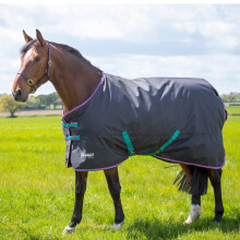 (7' 3", Black) Tempest Original 300 Horse Turnout Rug
