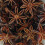 Soc Chef Star Anise - 130g 2