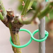 100 Stück Pflanzendrehklammern, Gartenpflanzen-Stützklammern, Gemüse, Tomatenranken, Blumenklammern, Pflanzenschlösser für Pflanzen, 5,9 cm