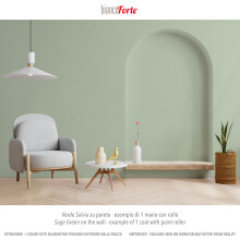 Bianco Forte Sage Green 1L AllinOne Chalk Paint Sealer Most Durable