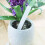 1000PCS Plant Labels Plastic Nursery Garden Tags 2