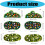 Comfortable And Absorbent Polyester-50cmx100cm Fragrant grass 4