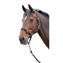 (Pony, Black) Shires Horse Headcollar