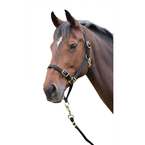 (Pony, Black) Shires Horse Headcollar