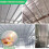 Double Reflective Insulation Foam, Reflective Window Radiant Barrier Bubble Insulation Roll for Keep Heat 5