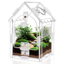 Recinto per Ragni Saltatori - Dimensioni Interne 3,15x3,15x5,6 Pollici Kit Terrario In Acrilico per Tarantole/Mantidi/Rettili