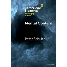 Mental Content by Peter University of Zurich Schulte Paperback Book