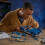 Kit modello Mercedes-Benz 300 SL, scala 1:12, 1600 pezzi 5