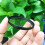 (62mm) UV Protector Filter Lens Protector Dustproof Sandproof UV Universal Filter Accessories 7