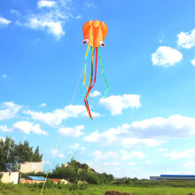 (Pink and green tails) 4m Octopus Kite with Handle Line Children's Kite Foldable Outdoor Activities