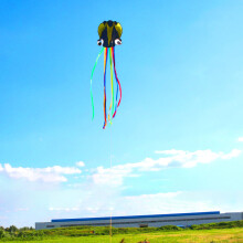 (Green and coloured tail) 4m Octopus Kite with Handle Line Children's Kite Foldable Outdoor Activities
