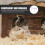 1Lavendel Stevig Hamster Accessoire Met Bed En Schuilplaats 3