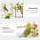 1Set Parkiet Decoratie Met Loopladder En Kauwspeelgoed 6