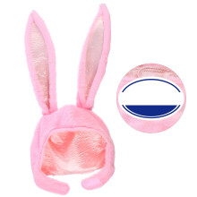Rabbit Ears Hoed Voor Feest En Verstelbaar Voor Allen