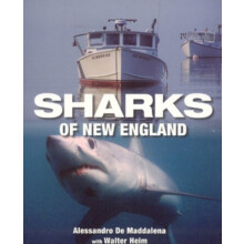 Sharks of New England by Alessandrao De Maddalena Paperback Book