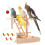 5St ABS Wind-Up Speelgoed Voor Kinderen 6