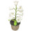 Νυχτερινό φωτιστικό Lily of the Valley, πλεκτό φωτιστικό LED με λουλούδια, διακόσμη 1