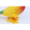 5St ABS Wind-Up Speelgoed Voor Kinderen 5