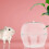 2St Plastic Hamster Badkamer, Geschikt Syrische Hamsters 9