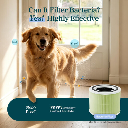 Levoit Levoit Genuine Mold Bacteria Air Purifier Filter for Core 300 Core 3 2