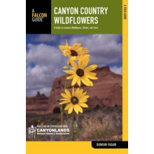 Canyon Country Wildflowers by Damian Fagan Paperback Book