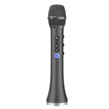 L-698DSP 20W Bluetooth-Mikrofon mit kabellosem Lautsprecher, Schwarz