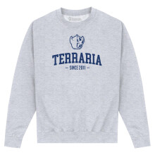 (L, Heather Grey) Terraria Unisex Adult Printed Sweatshirt