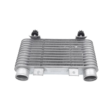 Ladeluftkühler-Baugruppe WL85-13-550 WL21-13-550A für BT-50