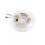 Programmable RGBWC COBs LED Strips 1428 LEDs/Meter 24V Low-1m 1